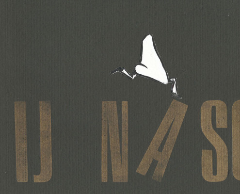 naso_light1