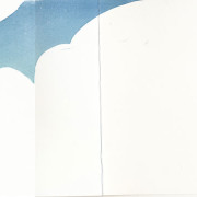 naso_light4
